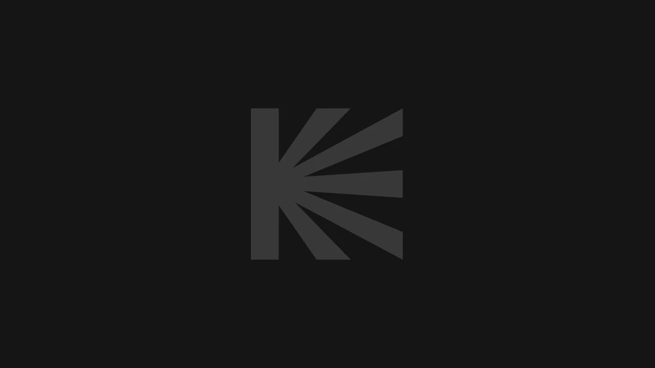 Фильм Память сердец (2025)
